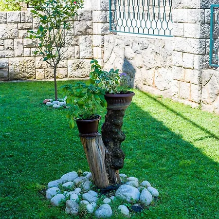 Apartment Garden-cavtat Cavtat